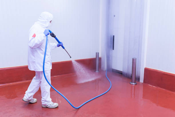 Best Post-Construction Pressure Washing  in Bull Mountain, OR
