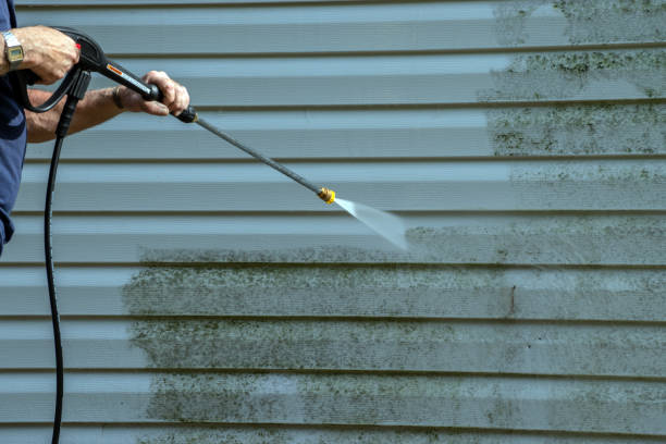 Best Sidewalk and Walkway Cleaning  in Bull Mountain, OR